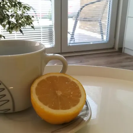 Near Center,beach,bus +free Parking Zadar