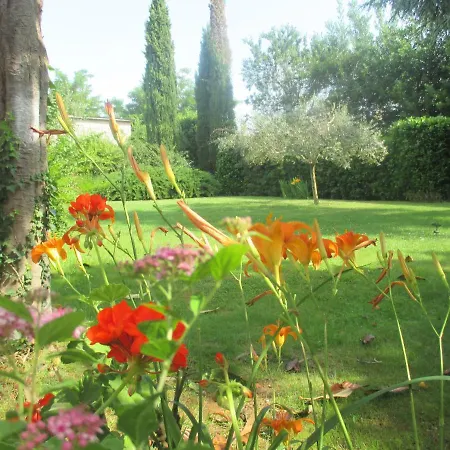 Near Center,beach,bus +free Parking Appartement