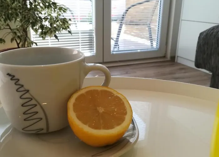 Near Center,beach,bus +free Parking Zadar