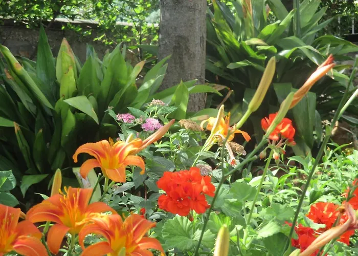 Near Center,beach,bus +free Parking Apartment