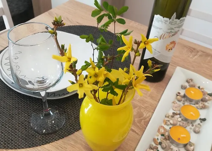 Apartment Near Center,beach,bus +free Parking