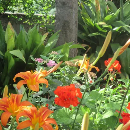 Near Center,beach,bus +free Parking アパート