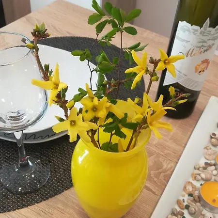 아파트 Near Center,beach,bus +free Parking